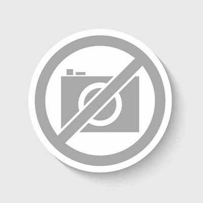 Delta Heat Conversion Kit LP to NG CKNG-DHPW22 IMAGE 1