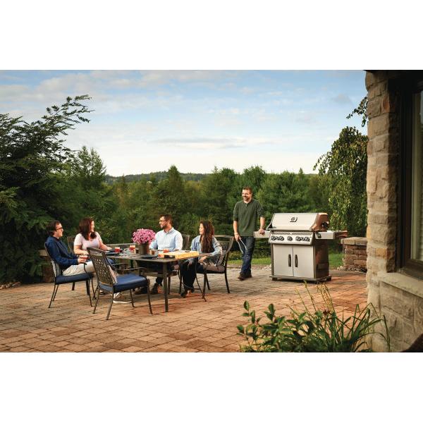 Napoleon Grills Gas Grills RSE625RSIBNSS-1 IMAGE 4