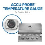 Napoleon 500 Series Built-in Gas Grill BI32PSS PROPANE